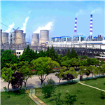 ����չʾ